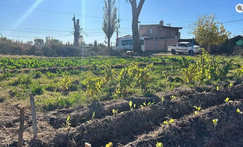 El funcionario no se percató que lo estaban filmando en pleno acto (foto: Cipo 360)