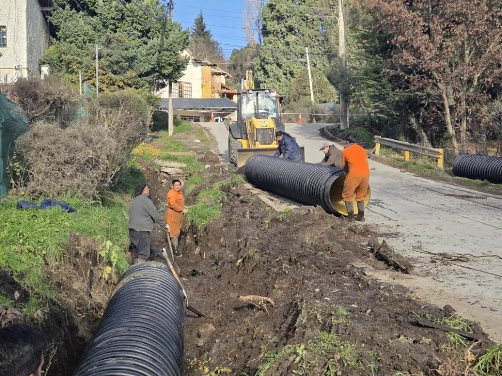 Las tareas que están realizando.