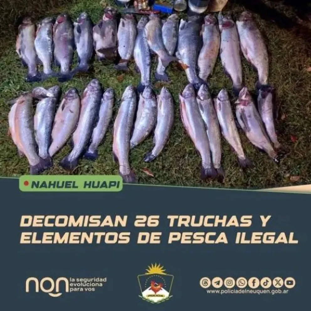 Decomisaron las truchas por pesca ilegal en la zona. Foto: gentileza