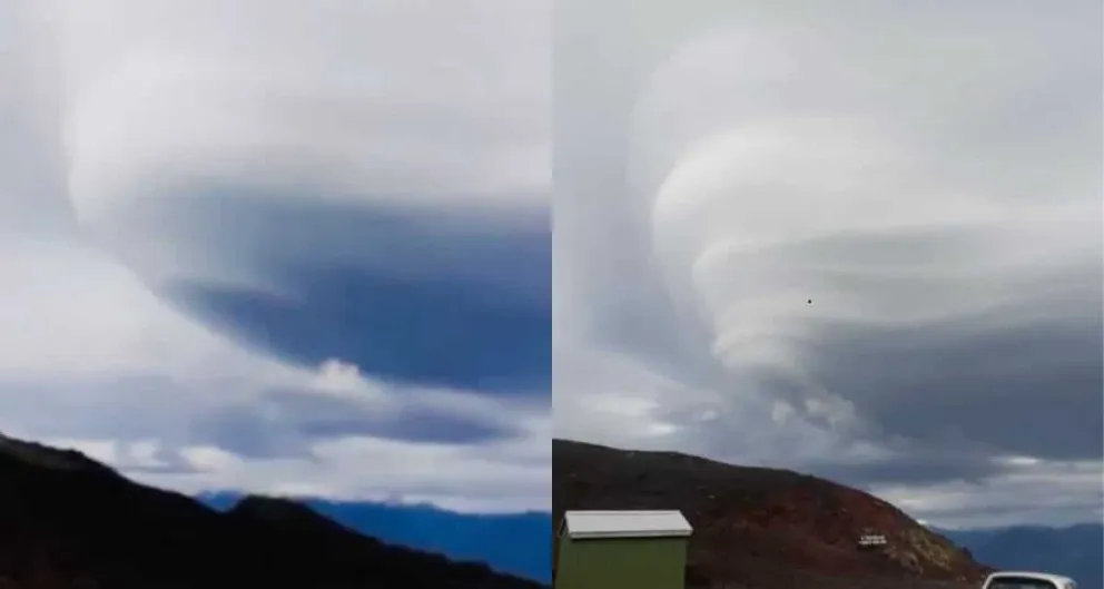 El video se hizo viral en las redes.