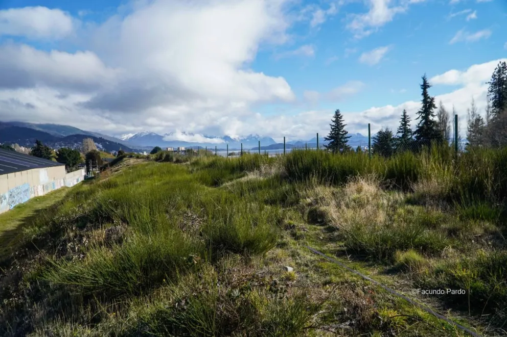 El cuerpo fue hallado en la zona de las vías, en barrio Ñireco (fotos: Facundo Pardo)