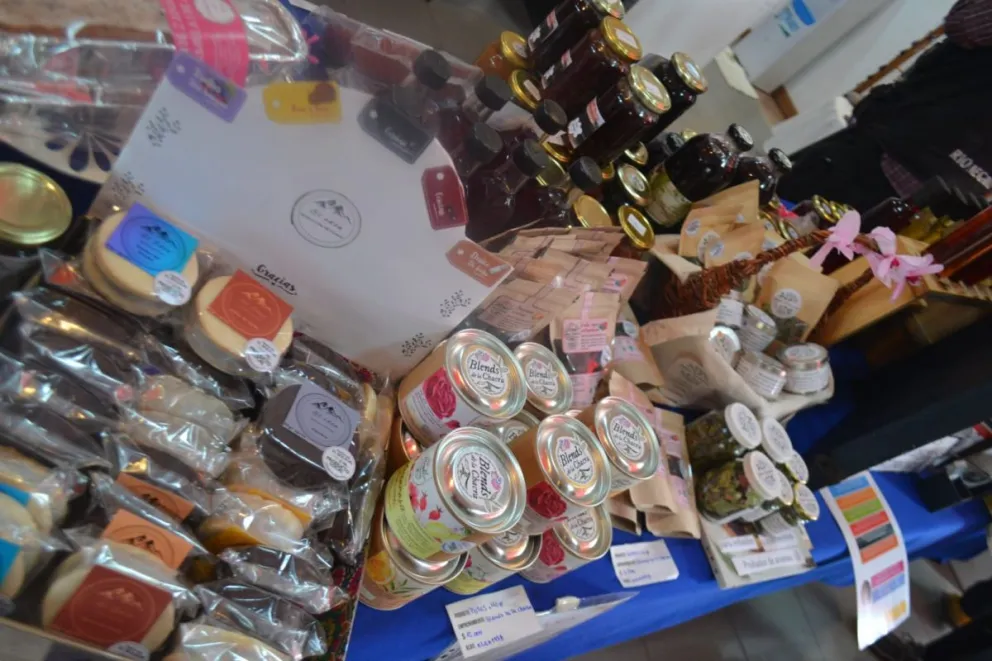 Se genera en el marco de las proyecciones plasmadas en la creación del “Corredor Productivo Regional Bariloche- El Bolsón”.  