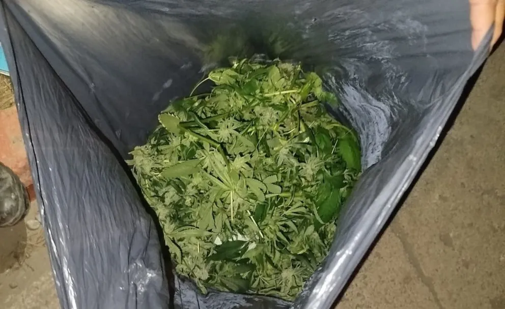 El hecho ocurrió en barrio Jardín Botánico