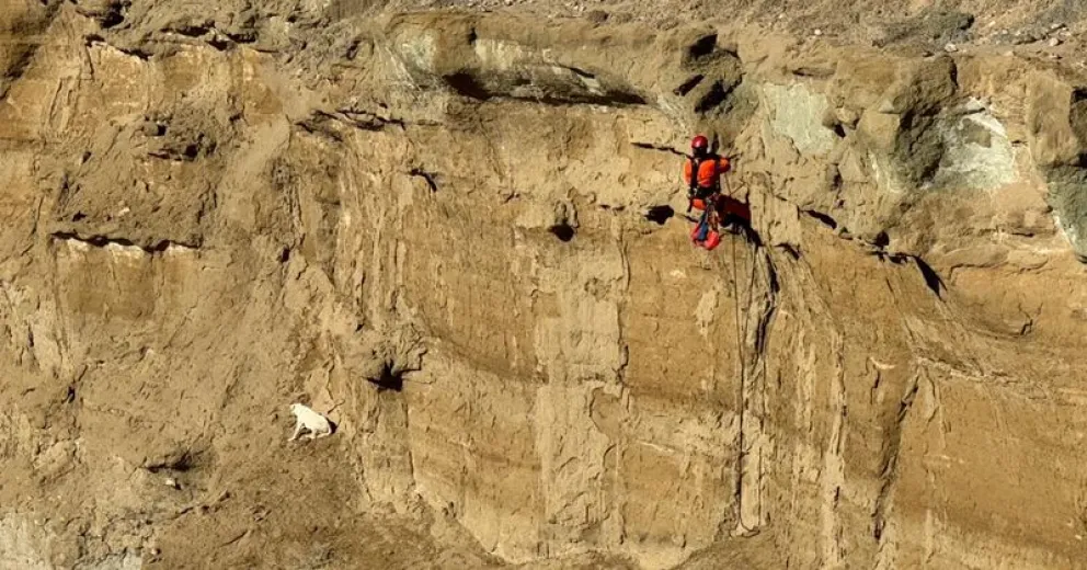 De no haber sido por los voluntarios, habría sido imposible salvarla.