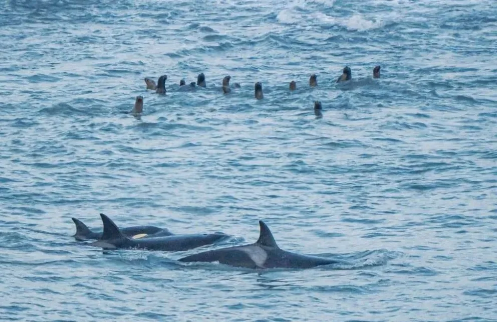  Los miradores y el Centro de Interpretación del Área Natural Protegida Punta Bermeja están abiertos todos los días de 11 a 17. Foto: gentileza