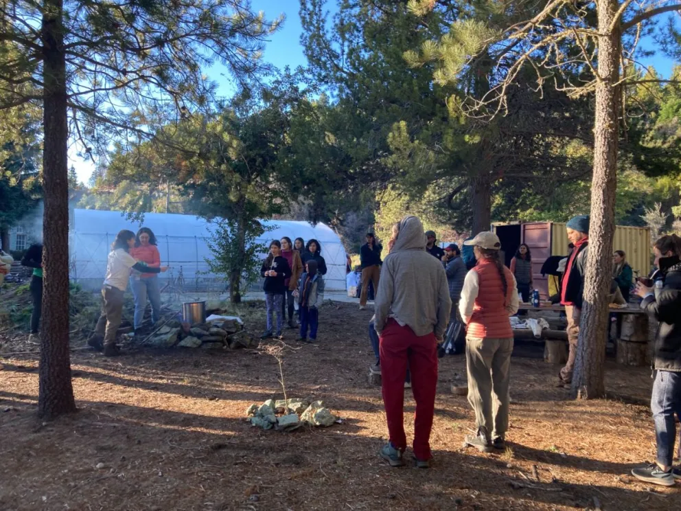 Un espacio para conocer y valorar a nuestras plantas nativas.