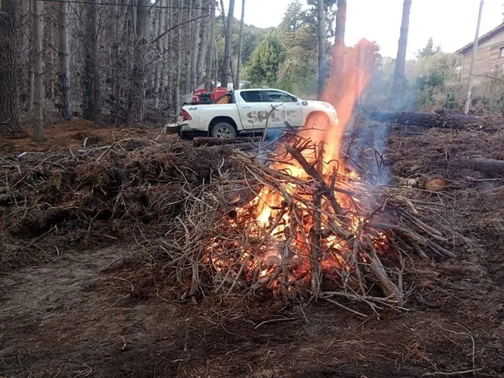 Hay pautas a tener en cuenta antes de realizar una quema de residuos.