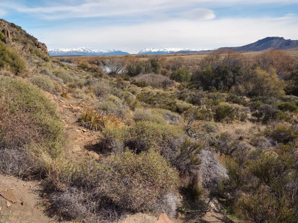 El Área Limay transcurre en la margen rionegrina del histórico río. Foto gentileza.