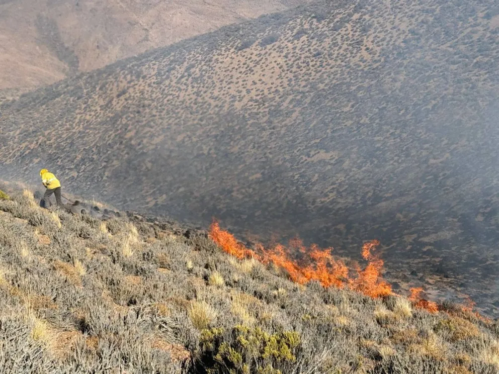 Incendio forestal en el departamento de Pilcaniyeu (foto; Marcelo Paillalef) 