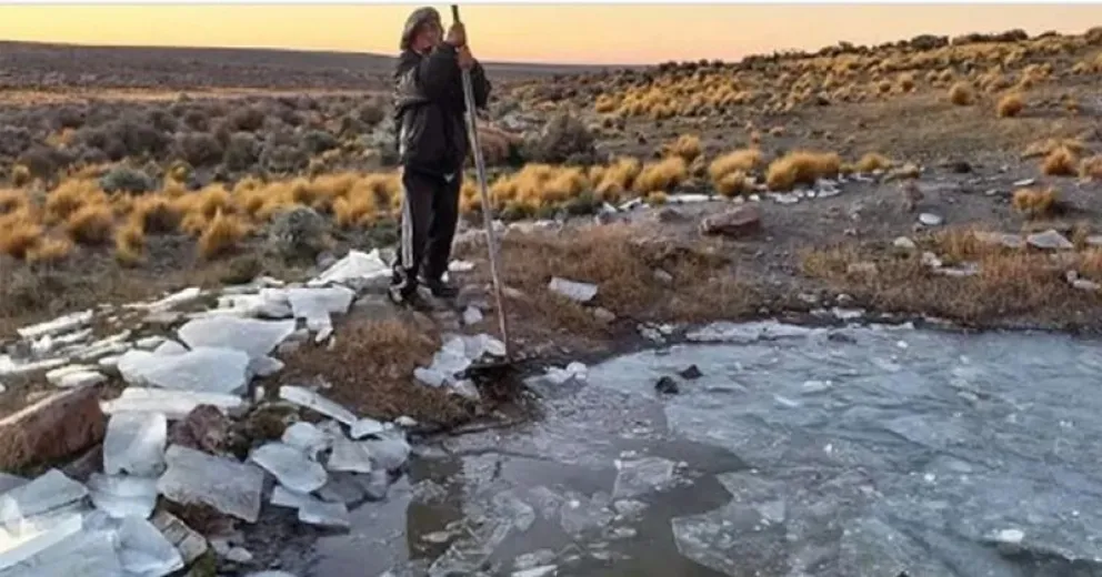 La imagen es de otro otoño en la ciudad rionegrina.