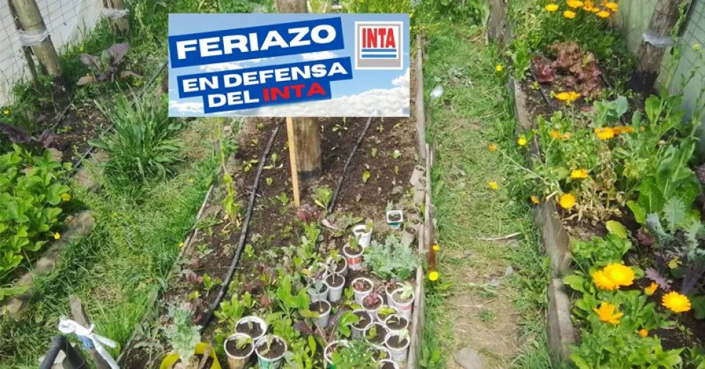 Quienes deseen acompañarlos deben comunicarse con la organización.