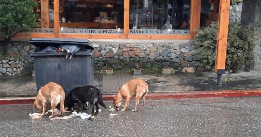 Una sanción que afecta la economía del propietario.