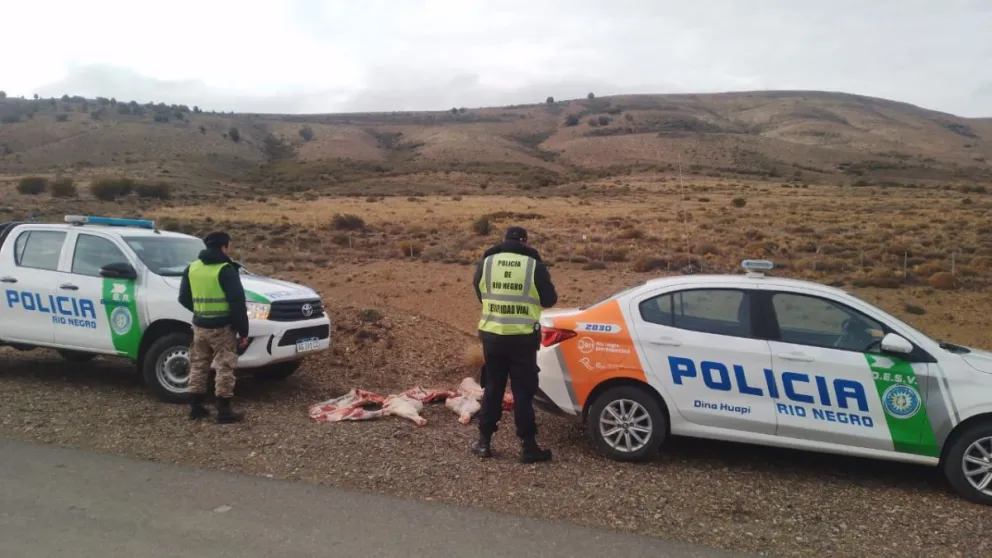 El transporte de dicha carne también presentaba irregularidades. Foto: gentileza