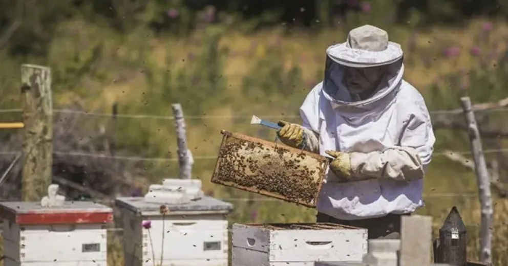 Los incendios forestales también han influido en esas modificaciones.