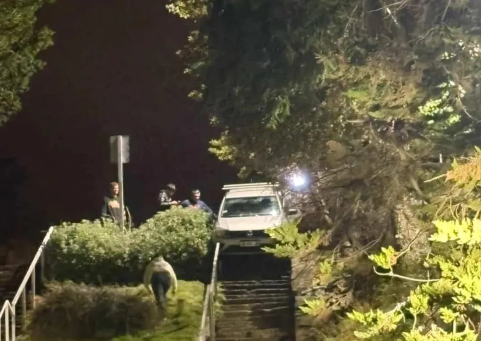 Afortunadamente el vehículo se frenó en ese sector y no continuó descendiendo.