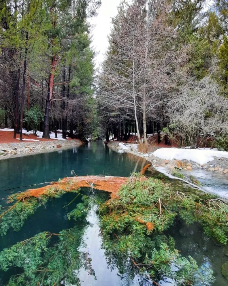En vacaciones de invierno una de las actividades elegidas por familias son las caminatas. Foto: archivo