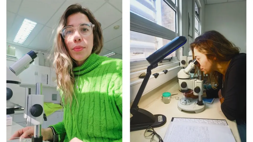 Ana Pereira, investigadora del CONICET Patagonia Confluencia.