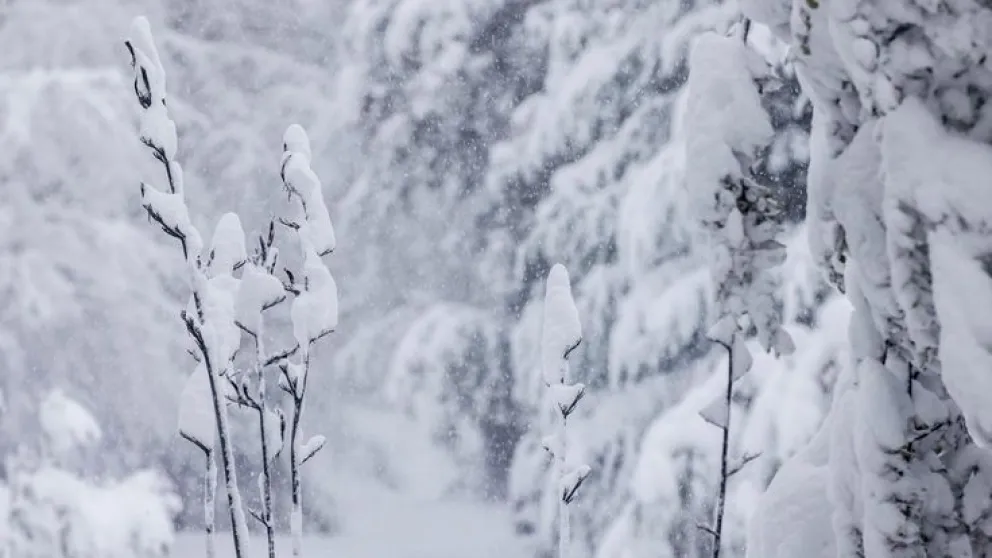 Una nevada de agosto complicó los planes de Lista.