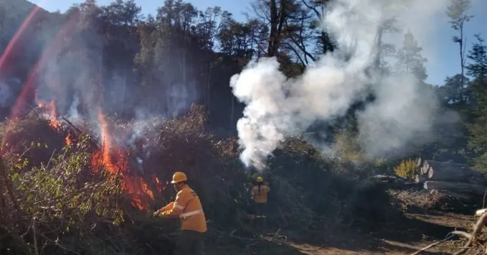 Un profesional propone buscar alternativas conjuntas.