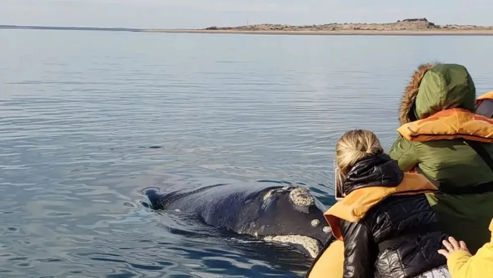 Una propuesta turística única para explorar la rica biodiversidad marina de la región.