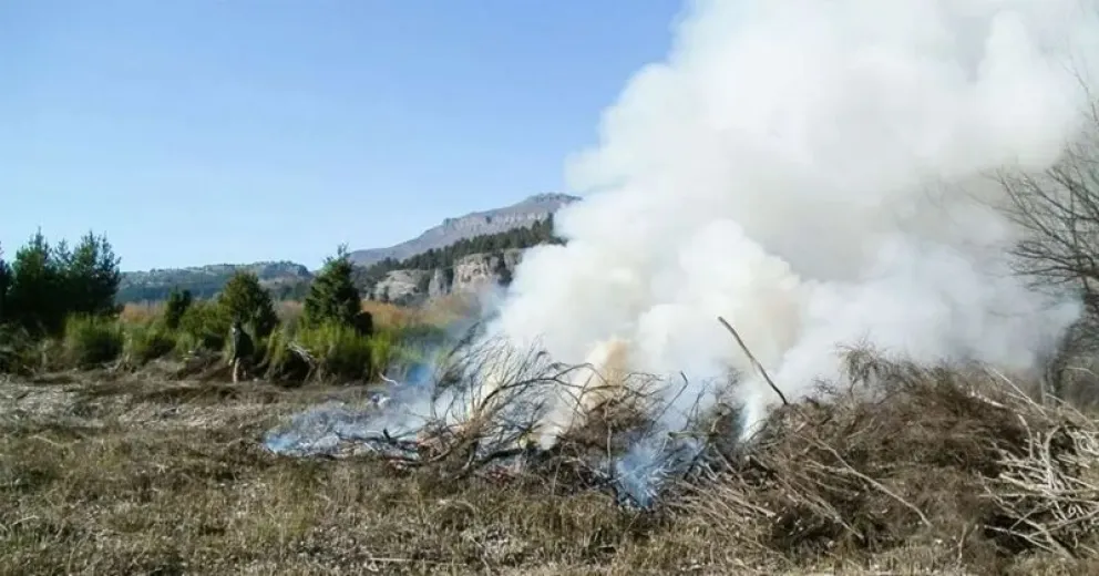 Reducir los residuos forestales sin tanta contaminación.