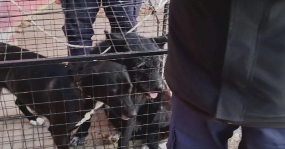 El área municipal continúa desarrollando tareas en diferentes sectores de la ciudad.