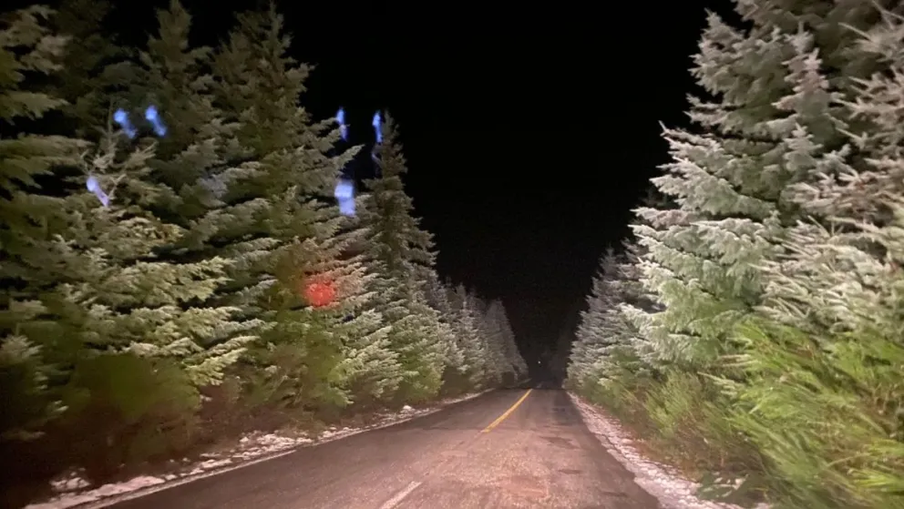 Para tener en cuenta los informes de los entes oficiales. 