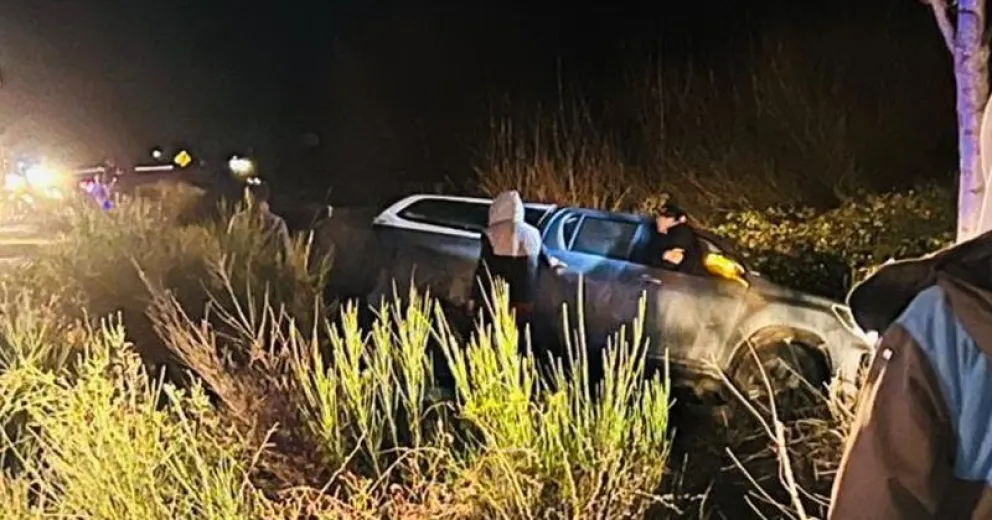 El estado del vehículo involucrado.