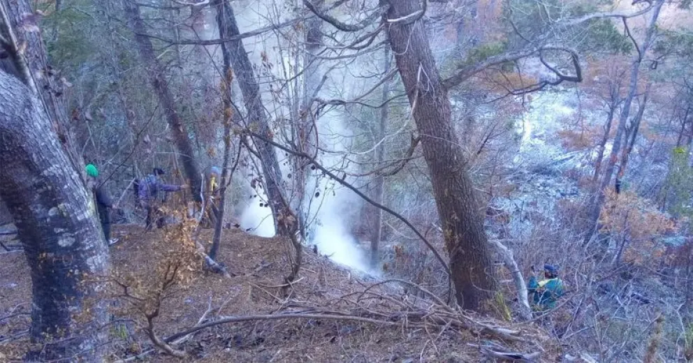 Es en el sector que se originó el gran incendio del verano pasado.