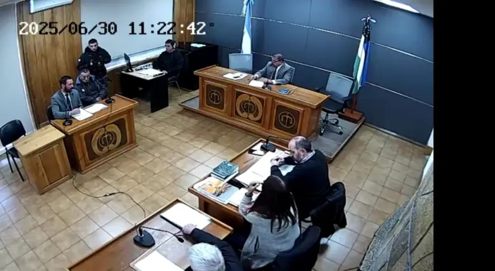 Coincidieron en señalar que lo más adecuado al caso resultaba la aplicación de una prisión domiciliaria.