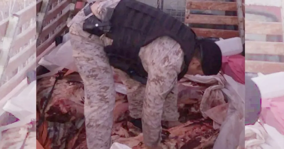 Los operativos se realizaron en la línea sur.