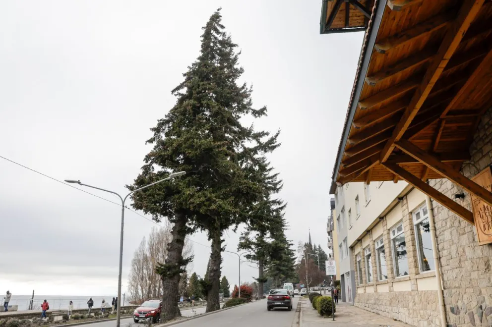 Uno de los temas que se vienen tratando hace un tiempo en la ciudad / Fotos Euge Neme 