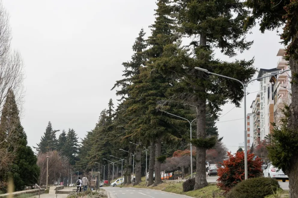 Uno de los temas a resolver ahora espera por una nueva decisión municipal /  Fotos Euge Neme 