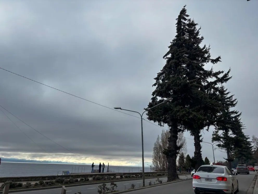 La comunidad decidirá sobre la forestación de la costanera / Fotos Euge Neme 