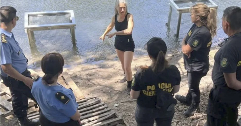 El proyecto es parte de un Programa de Desarrollo Tecnológico Social y surge de una universidad pública.