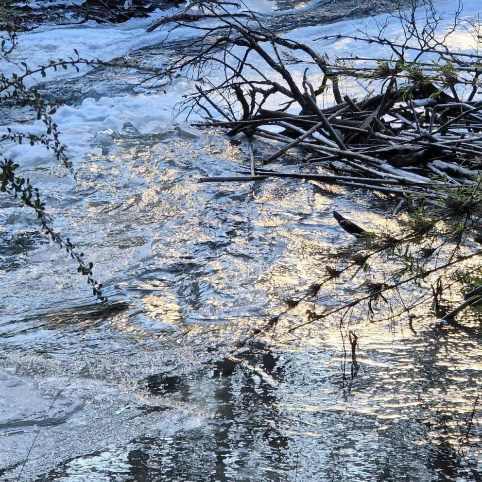 Ejes a tener en cuenta a la hora de salir a la montaña 