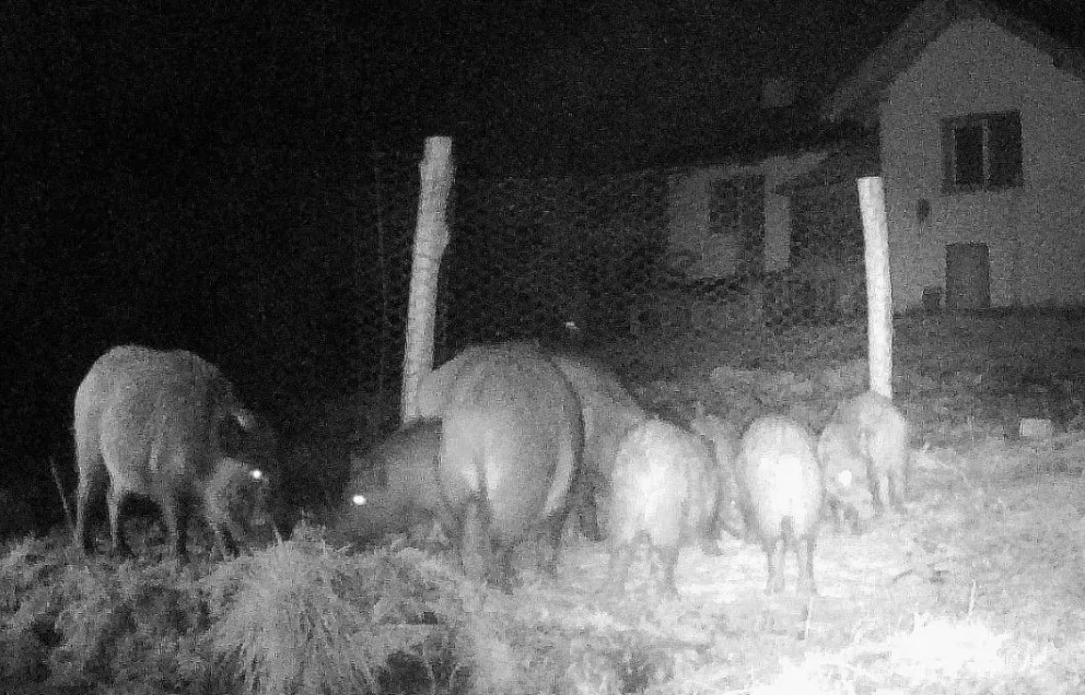 Una problemática a la que buscan soluciones.