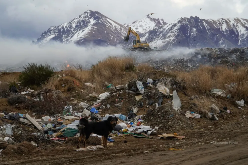 El vertedero, una cuestión a resolver (fotos: Facundo Pardo).