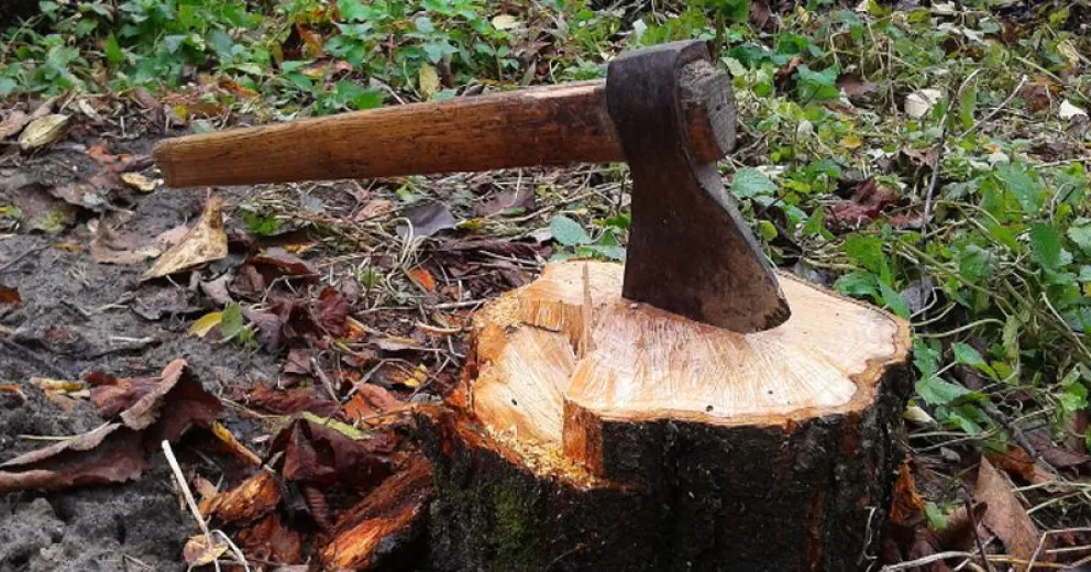 Los valores son muy elevados.