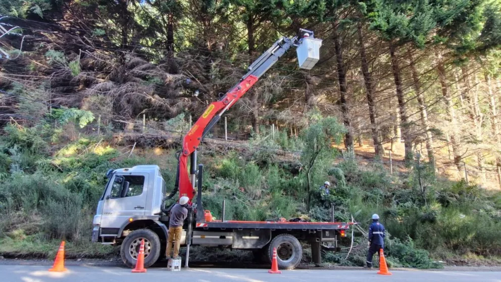 La CEB reafirma así su compromiso con la mejora permanente del servicio eléctrico.