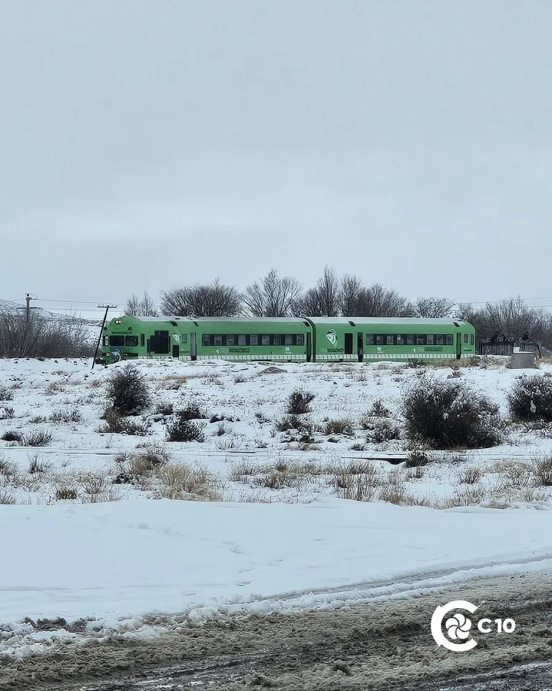 Ayer la formación se descarriló cerca de Bariloche 