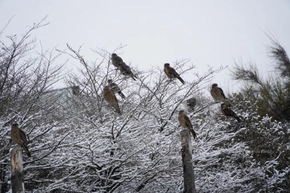 A partir de mañana comienzan a subir las temperaturas máximas.