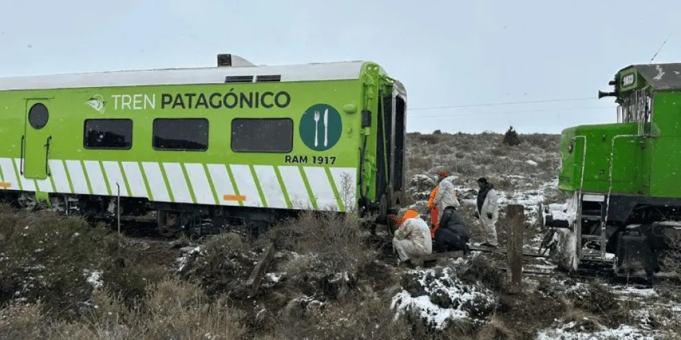 El trabajo del personal del Tren Patagónico ante lo sucedido / Gentileza Noticiero Seis 