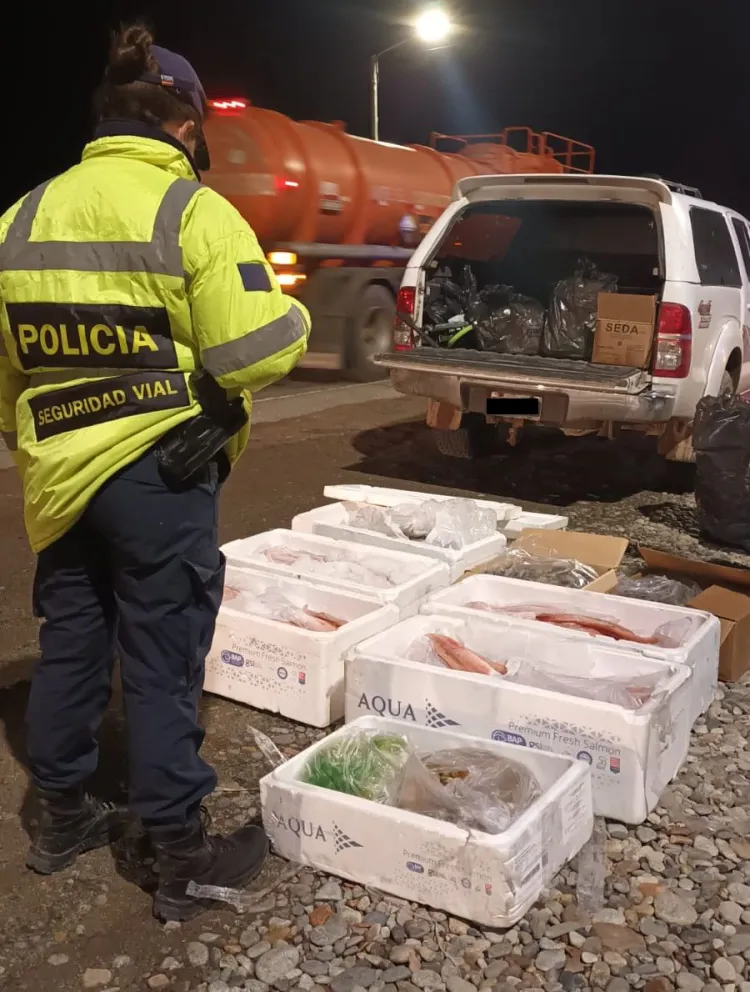 Entre otros productos, los uniformados detectaron cajas de pez gallo, mariscos, almejas, langostinos y vieiras.