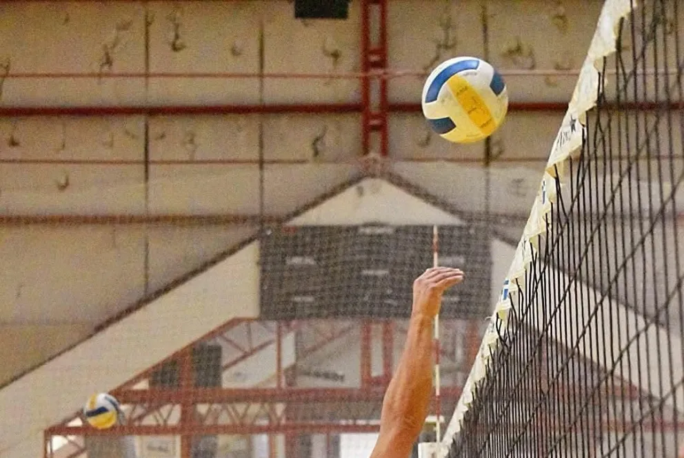 Preparan una tarde de vóley para compartir con amigos (Foto gentileza) 