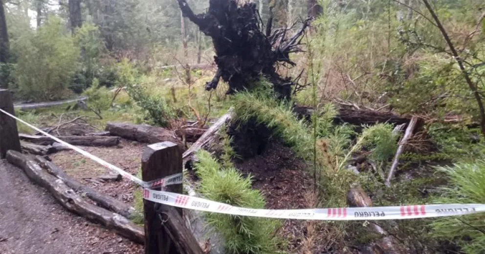 Es indispensable respetar la medida para evitar accidentes.