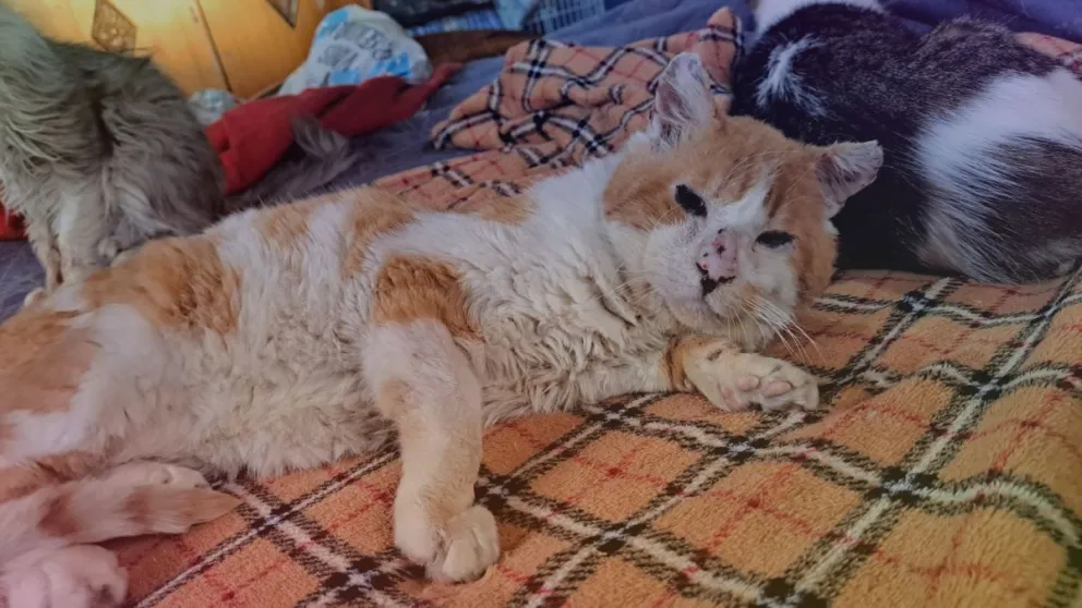 Merece una vida mejor. 