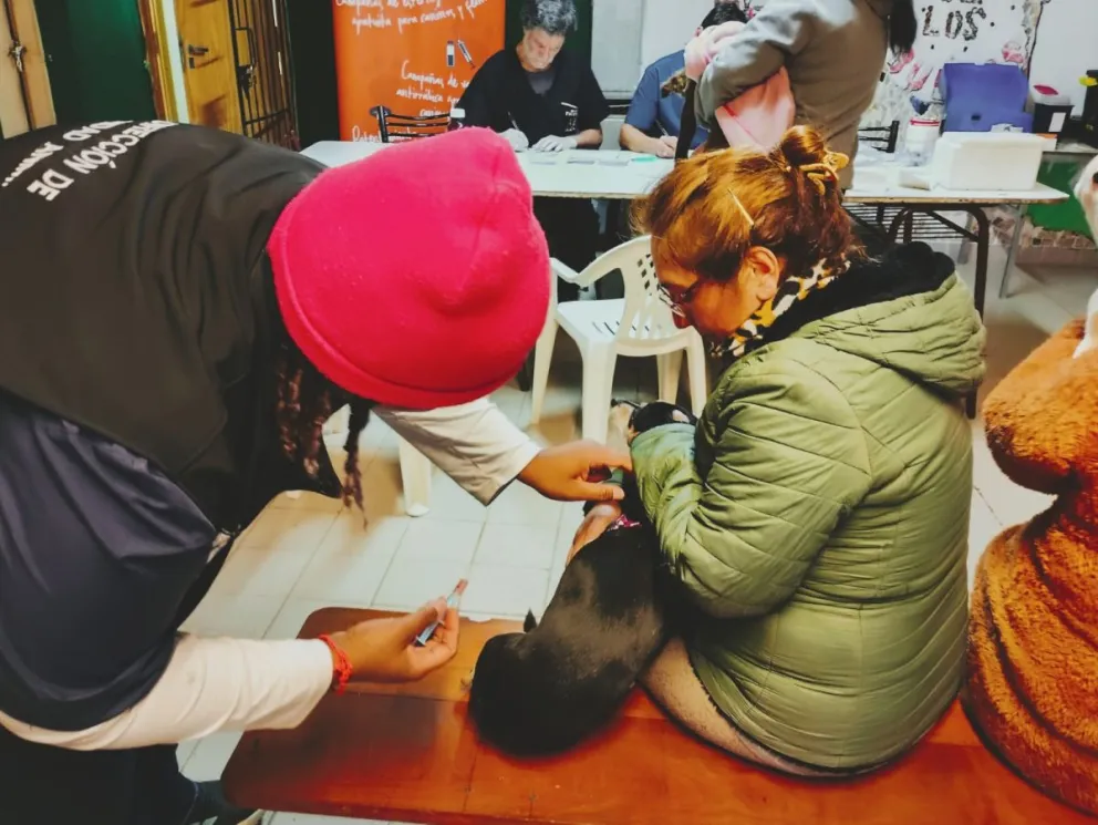 El cuidado responsable es fundamental.