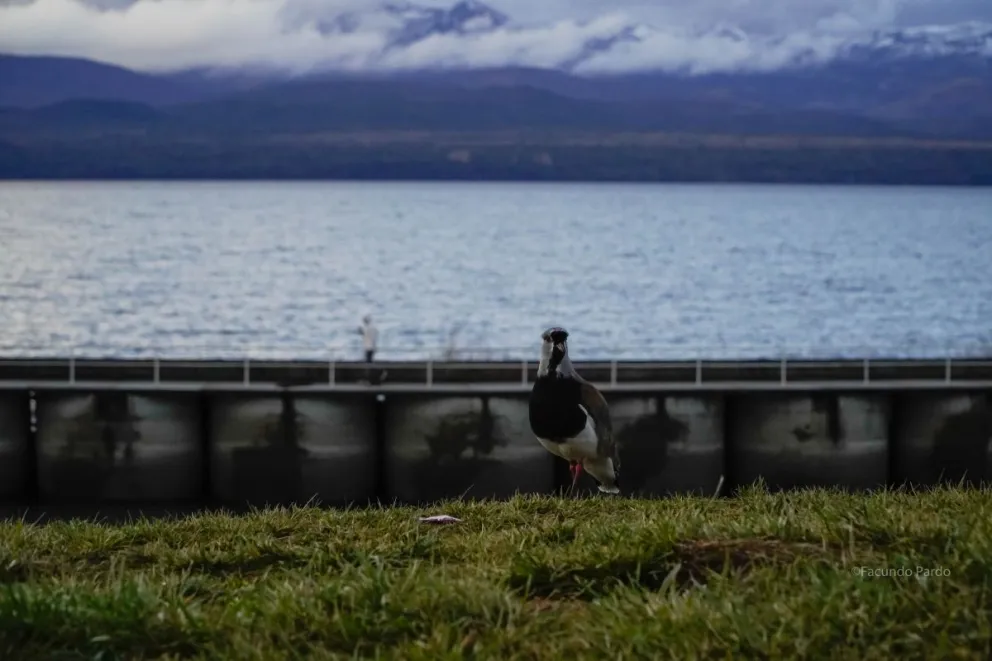 Pocas precipitaciones y vientos leves.