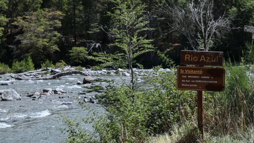 Ponen en marcha el Plan Estratégico de Restauración Pos-Incendio.
